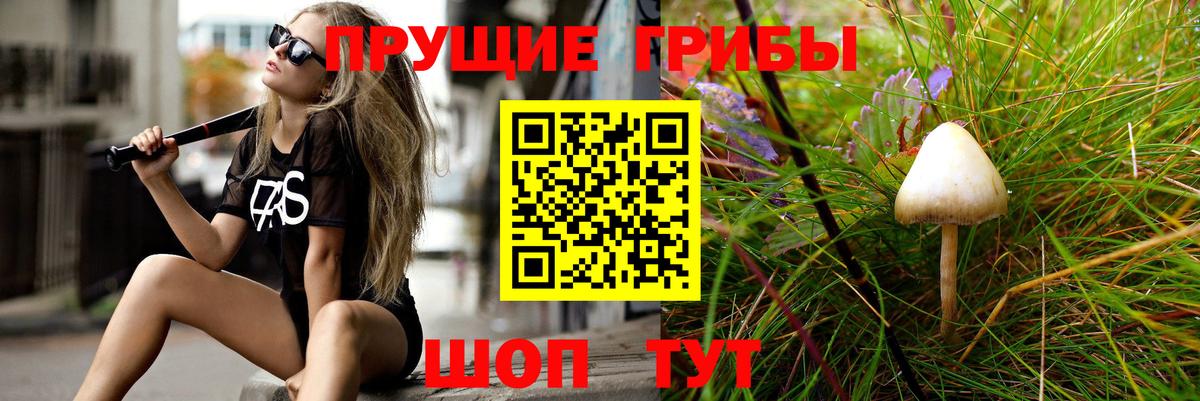 Галлюциногенные грибы MAGIC MUSHROOMS Аргун