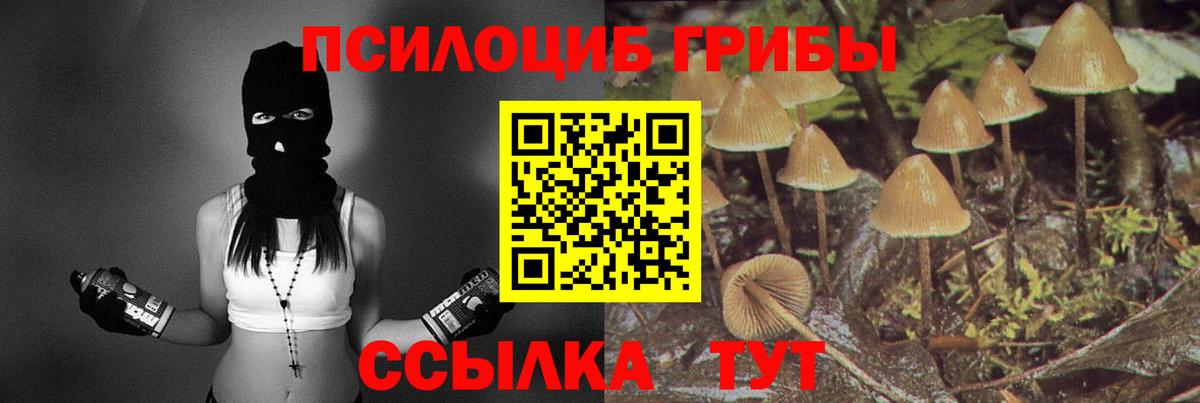 Аргун  Галлюциногенные грибы Magic Shrooms  закладки  Галлюциногенные грибы GOLDEN TEACHER  Вход с VPN 